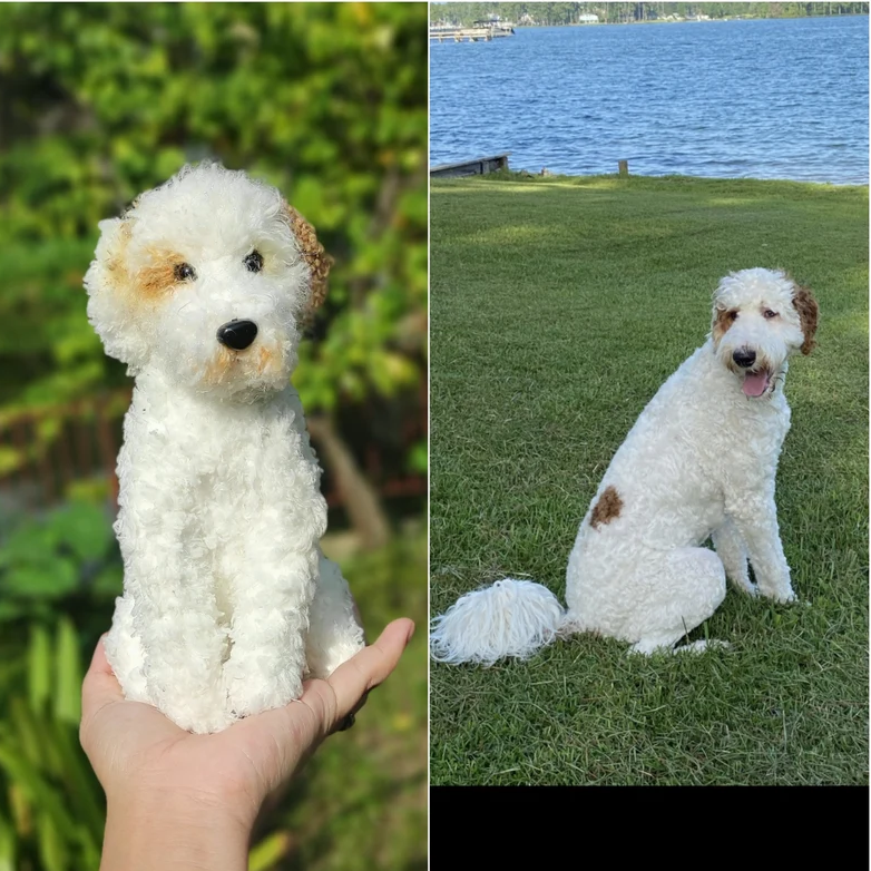 Custom Pet Crochet