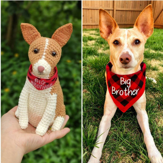 Custom Pet Crochet